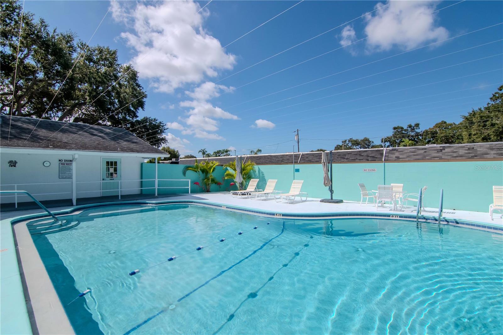 875 SKY LOCH DR S, DUNEDIN, FL, 34698