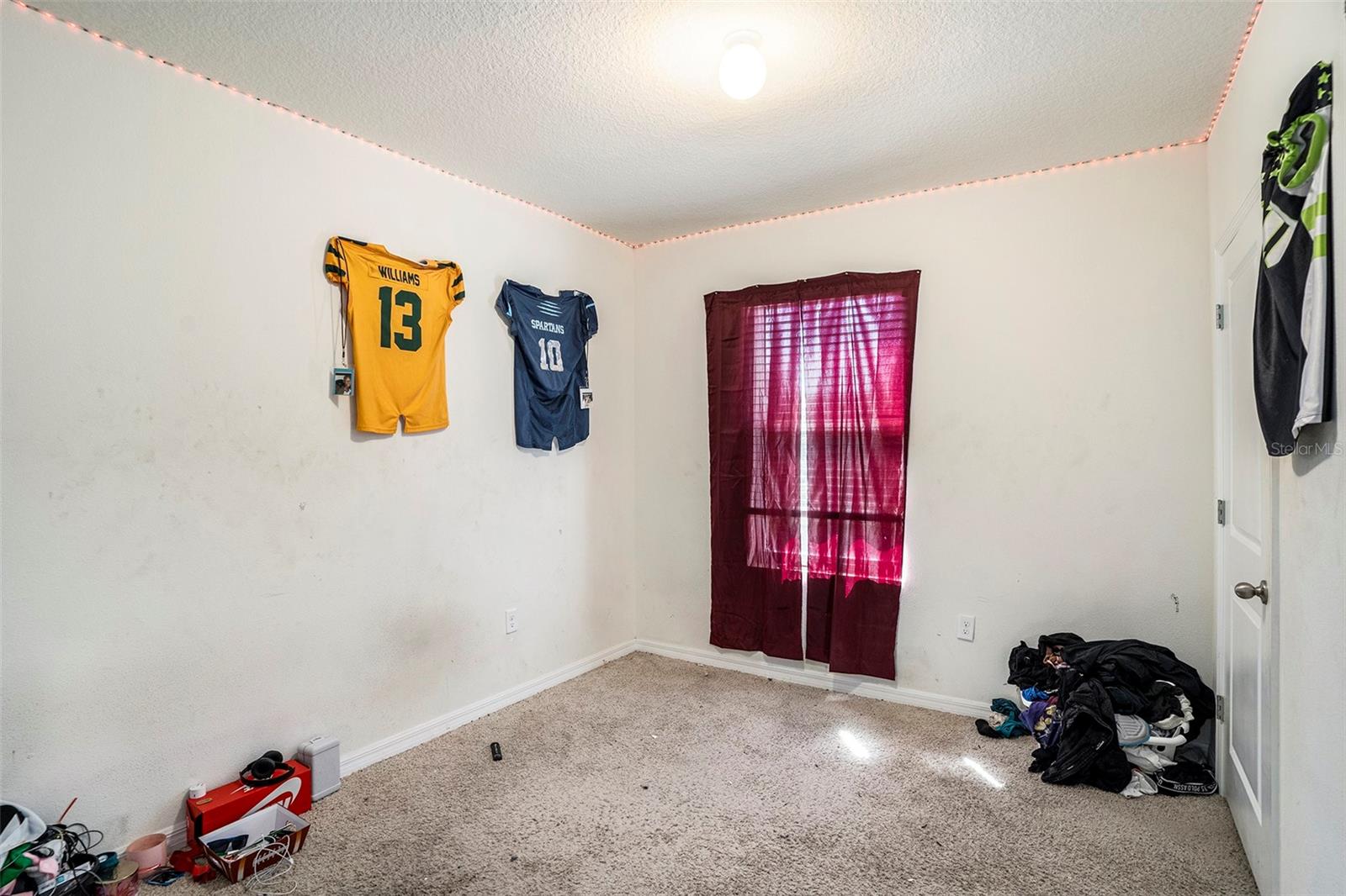 10023 MERRY FAWN CT, SUN CITY CENTER, FL, 33573