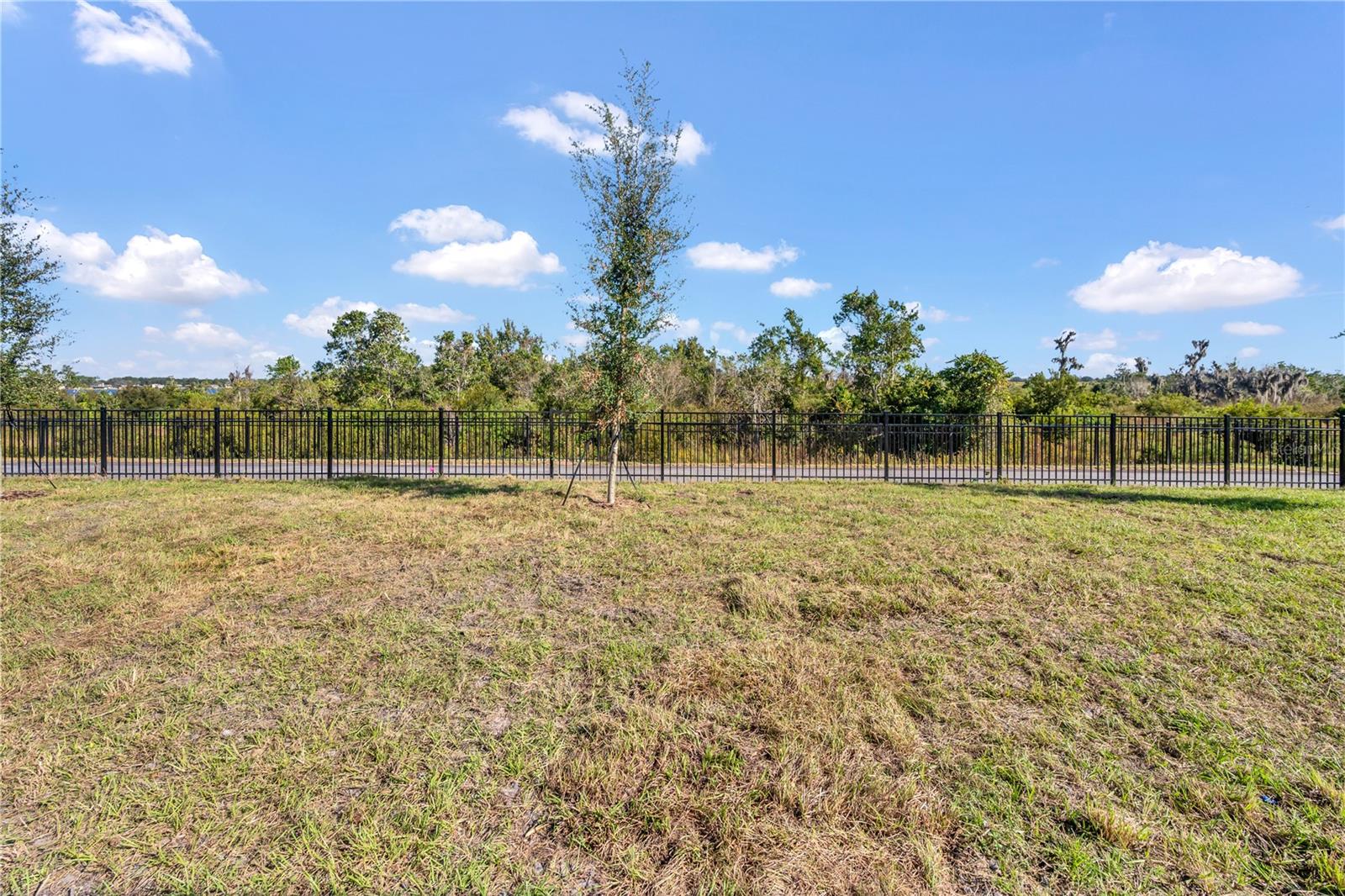 3460 CHINOTTO DR, LAKE ALFRED, FL, 33850