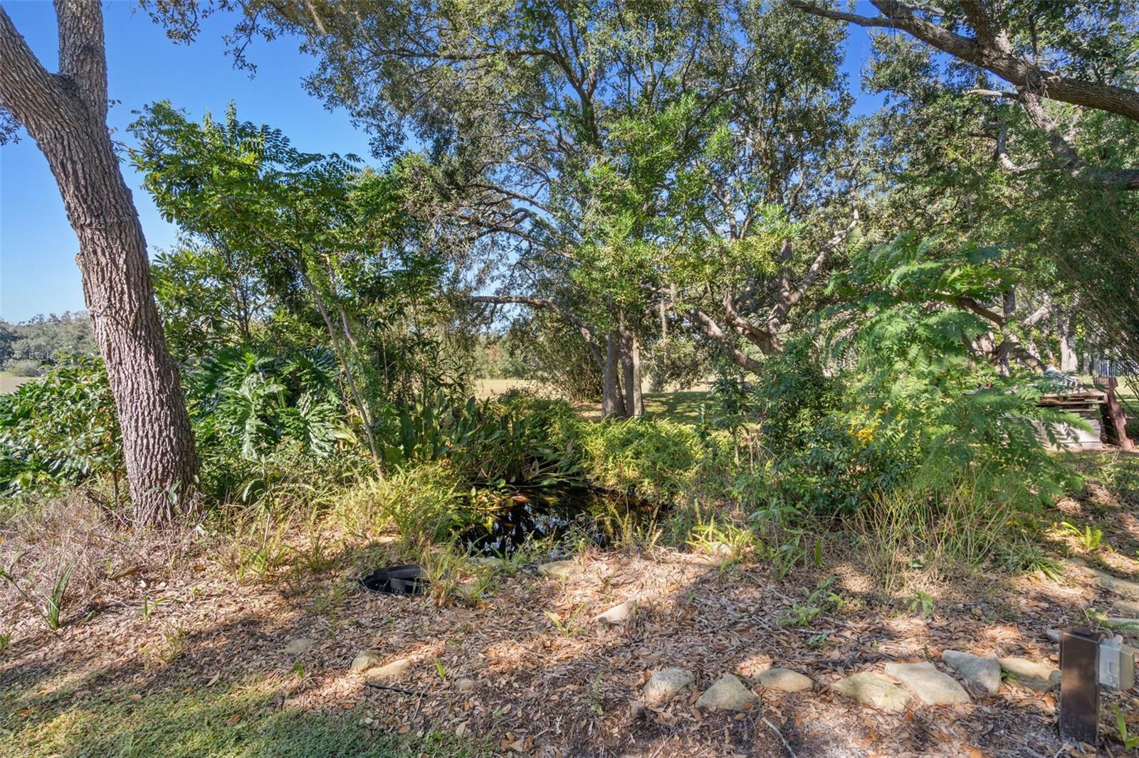 18644 AUTUMN LAKE BLVD, HUDSON, FL, 34667