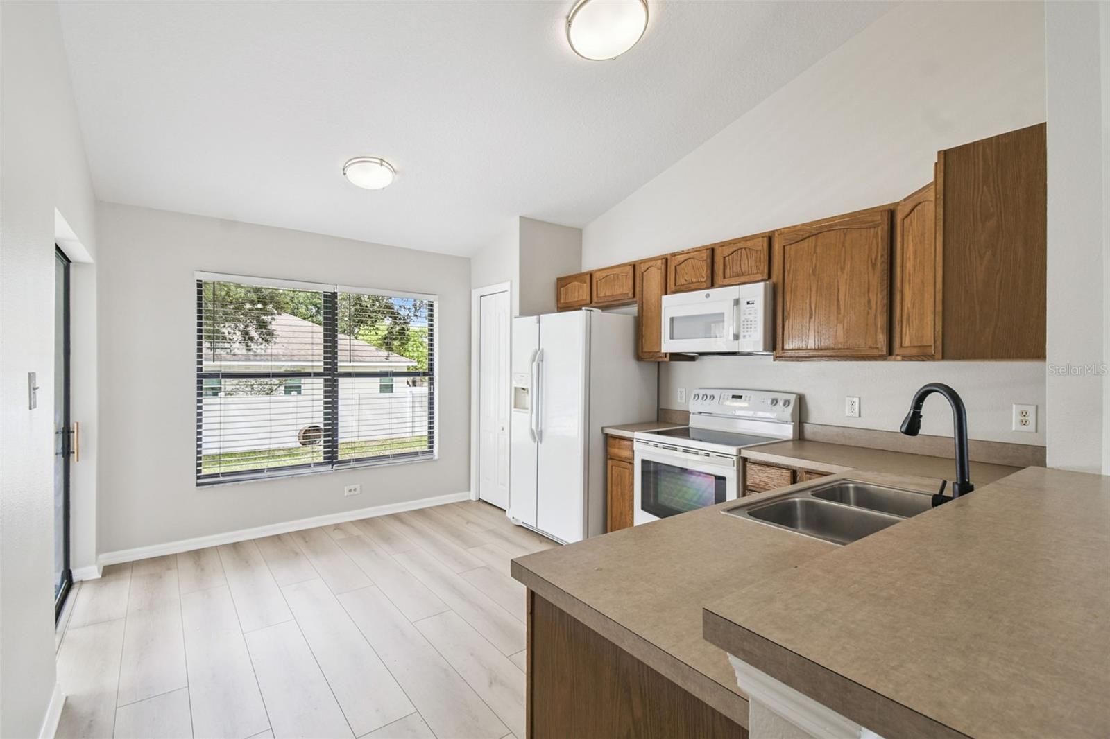 209 GOLDIE ST, LEESBURG, FL, 34748