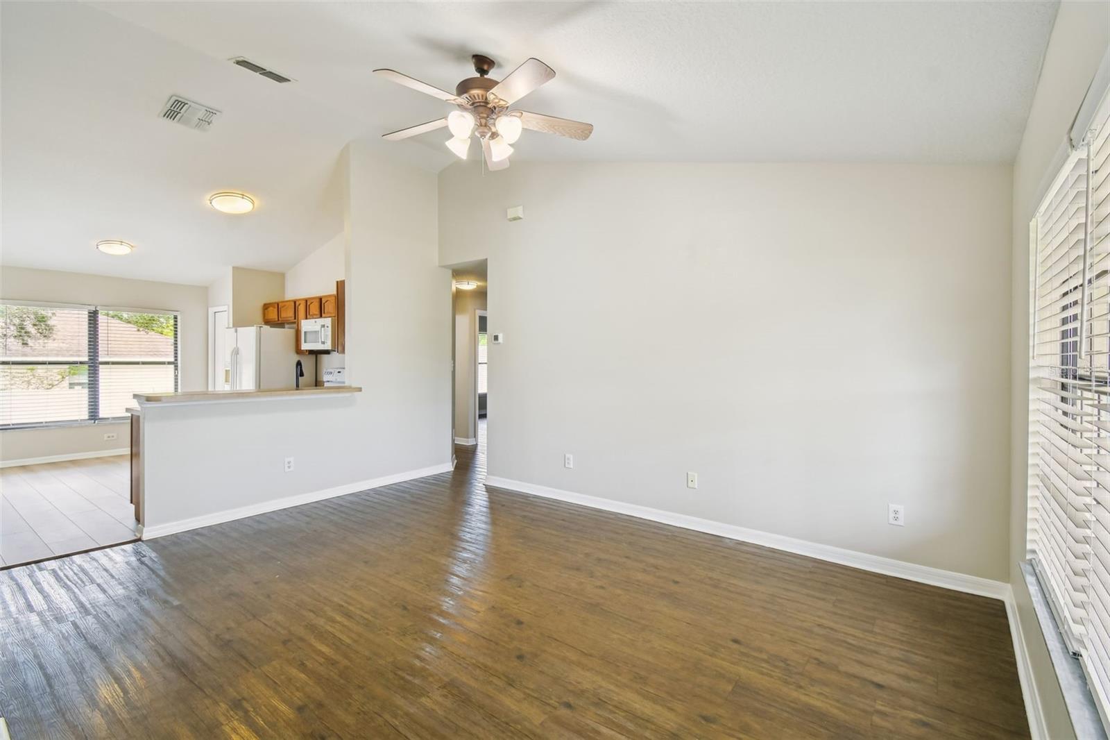 209 GOLDIE ST, LEESBURG, FL, 34748