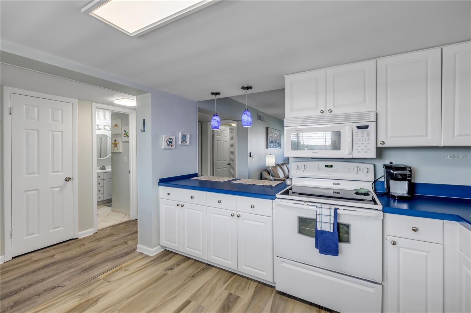 3663 S ATLANTIC AVE #33B, NEW SMYRNA BEACH, FL, 32169