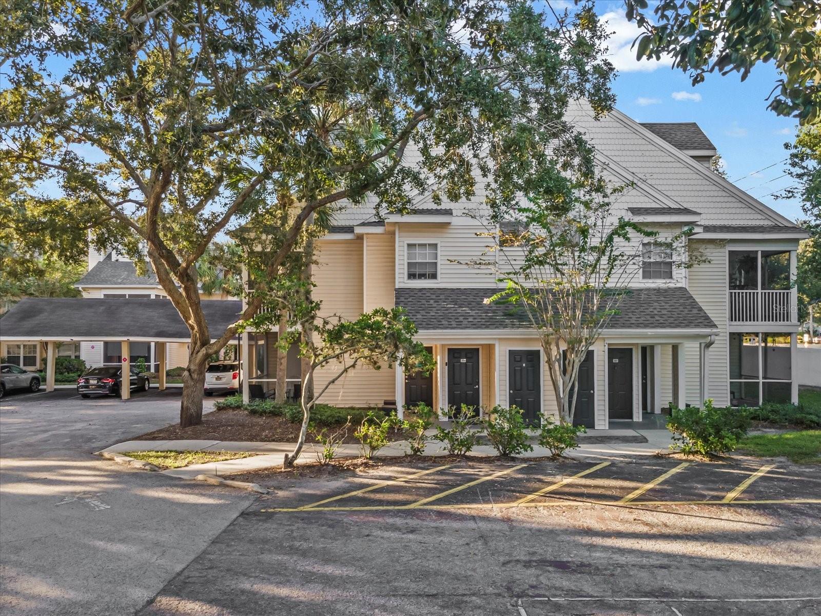 3321 HAVILAND CT #104, PALM HARBOR, FL, 34684