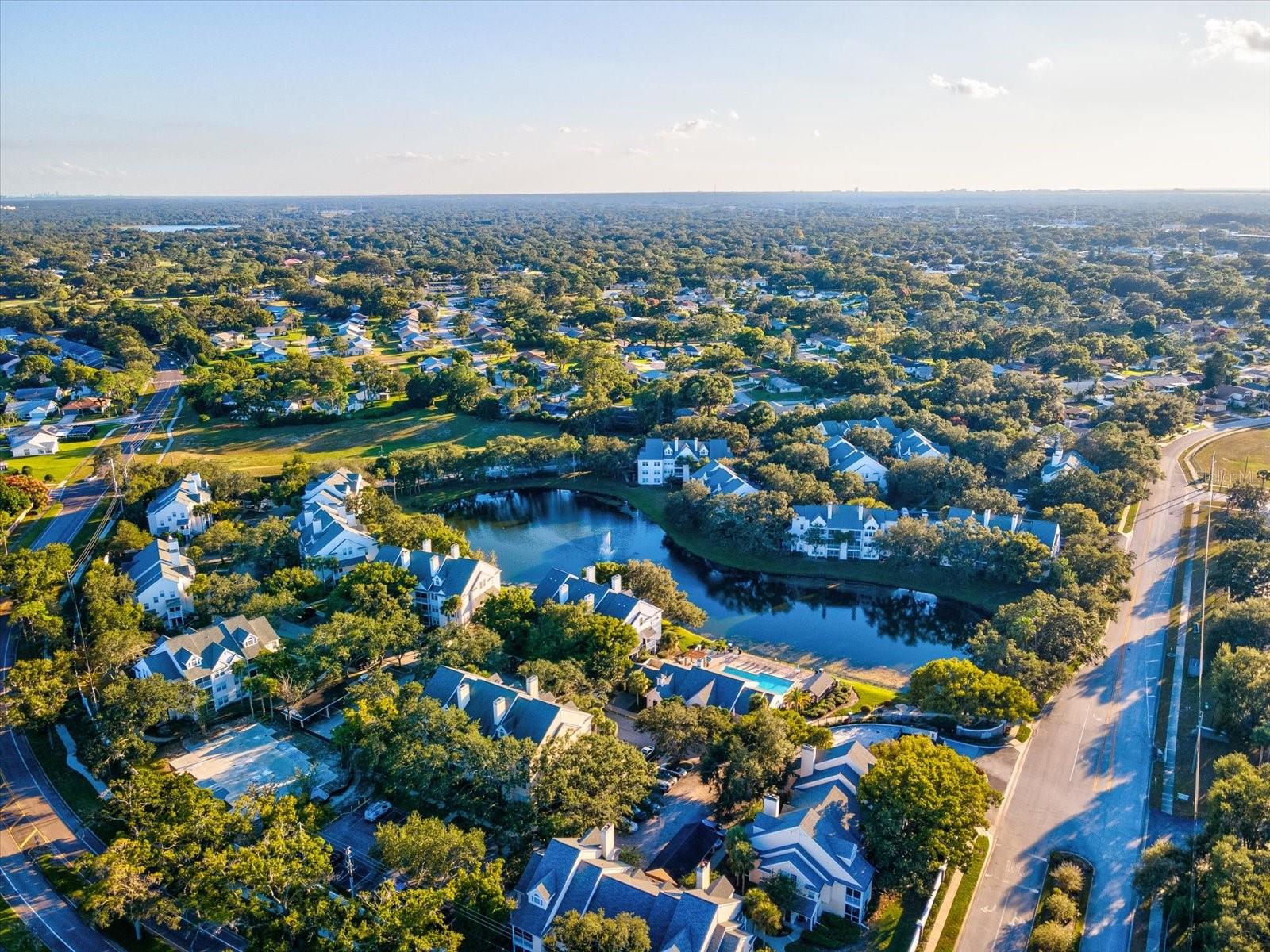 3321 HAVILAND CT #104, PALM HARBOR, FL, 34684