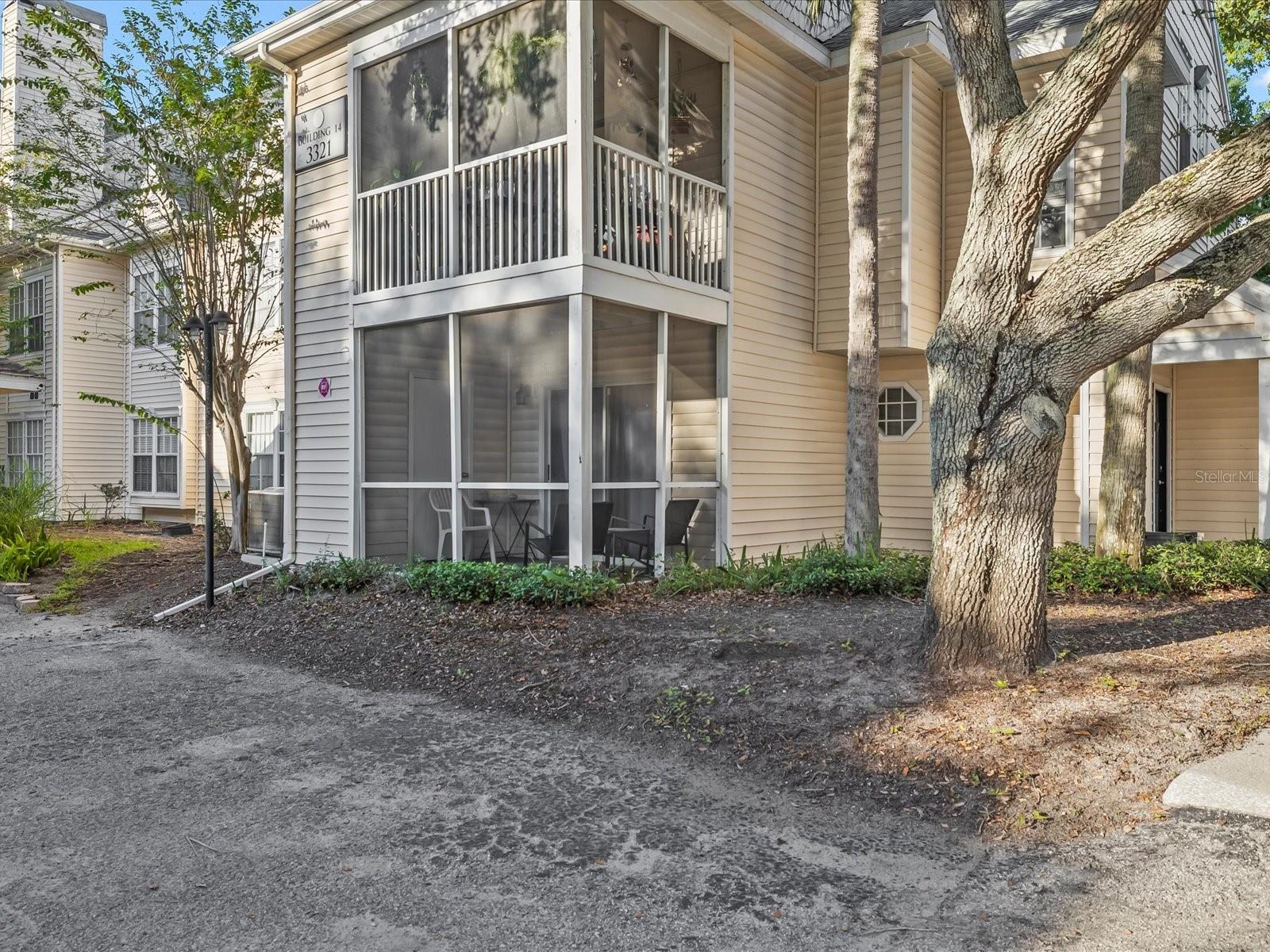 3321 HAVILAND CT #104, PALM HARBOR, FL, 34684