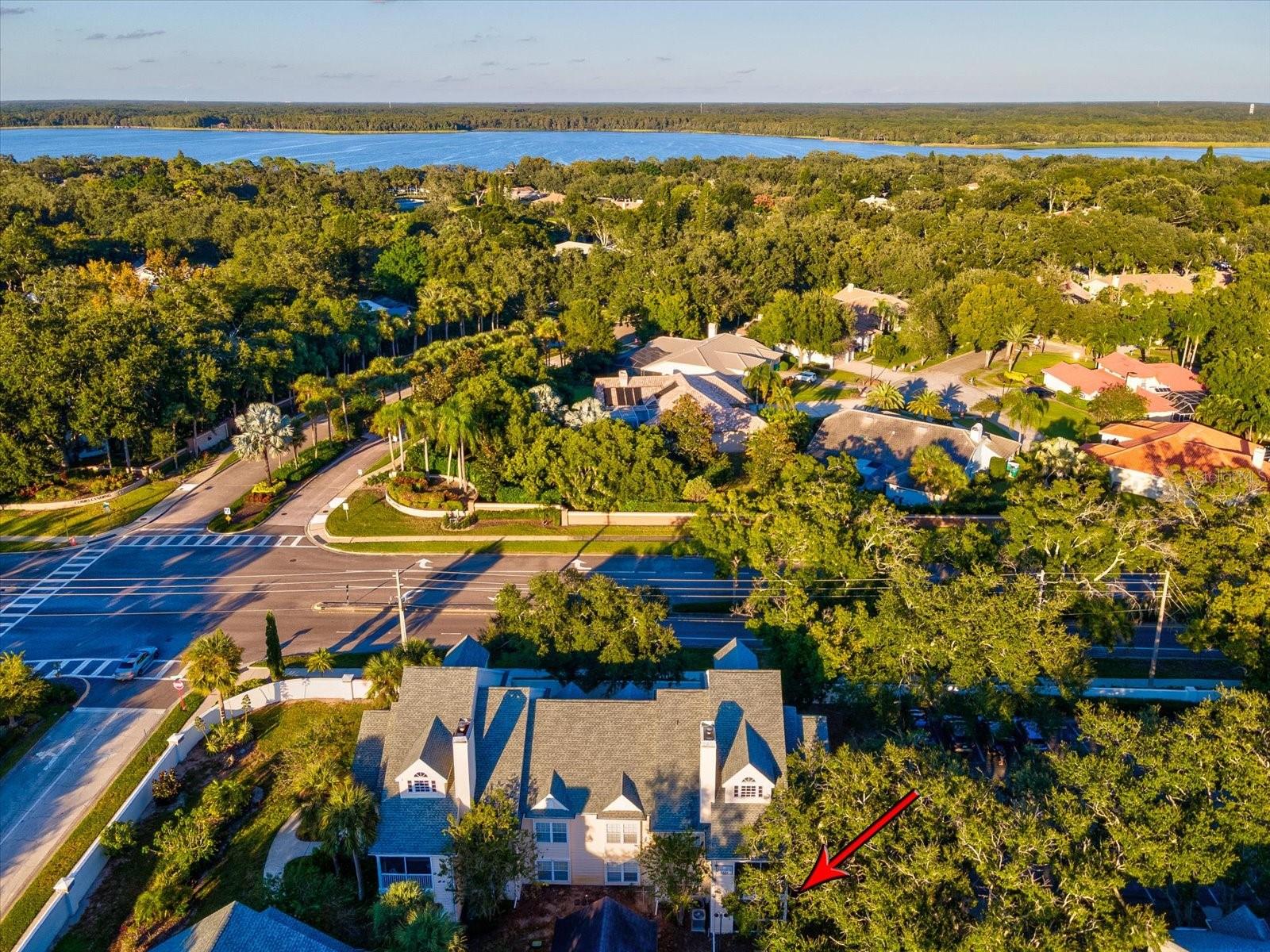 3321 HAVILAND CT #104, PALM HARBOR, FL, 34684