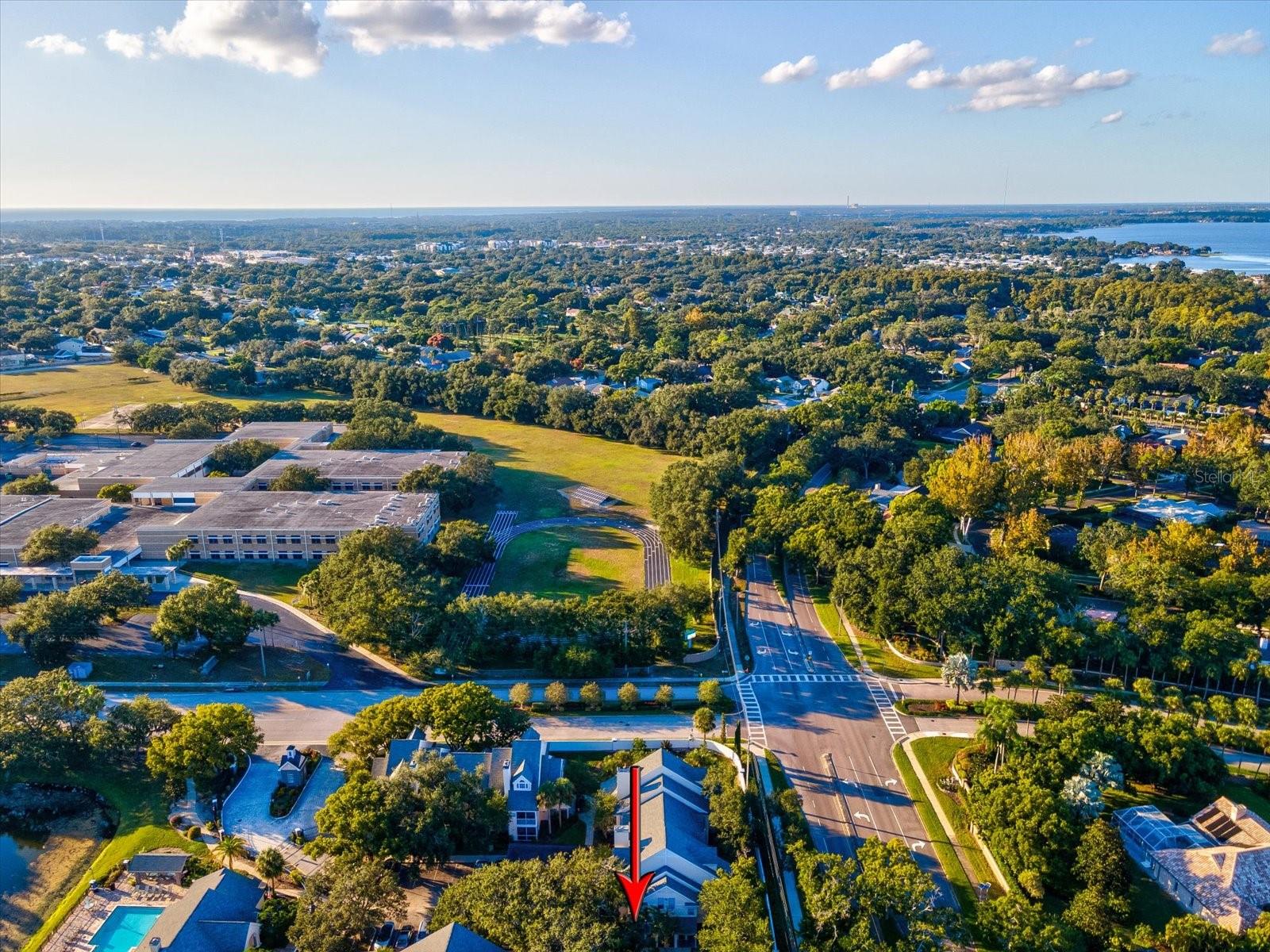 3321 HAVILAND CT #104, PALM HARBOR, FL, 34684