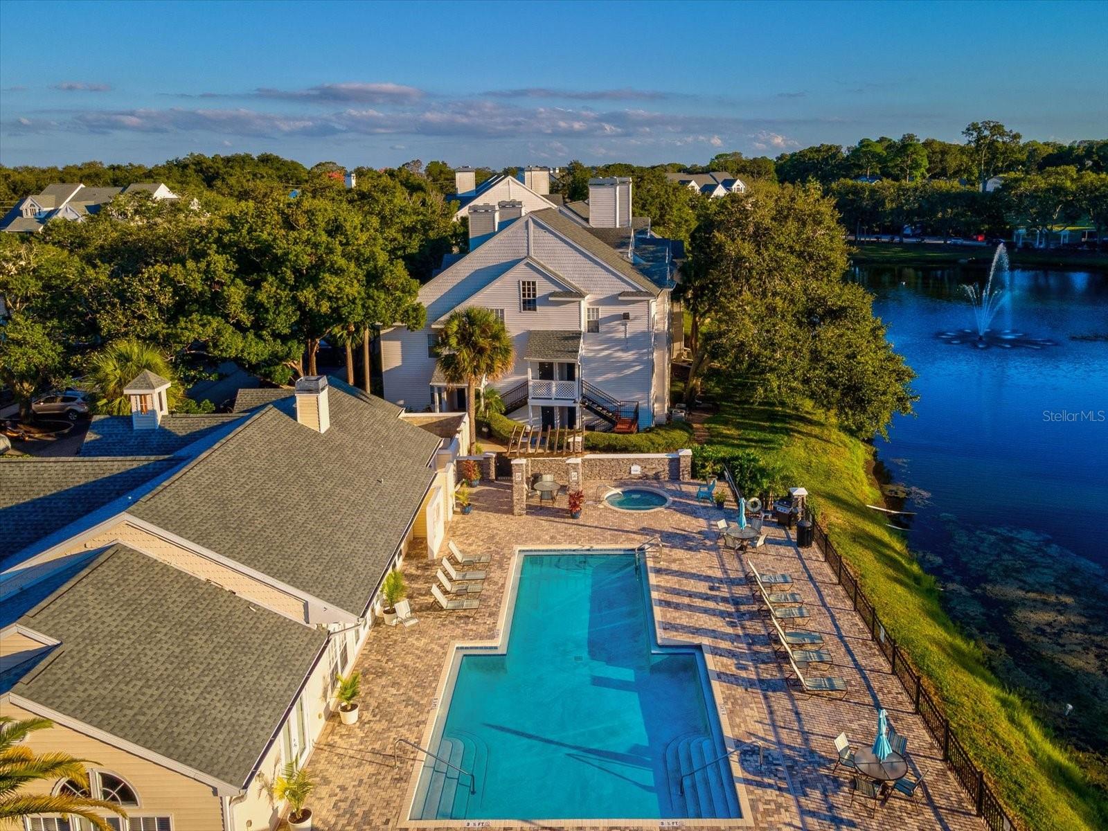 3321 HAVILAND CT #104, PALM HARBOR, FL, 34684