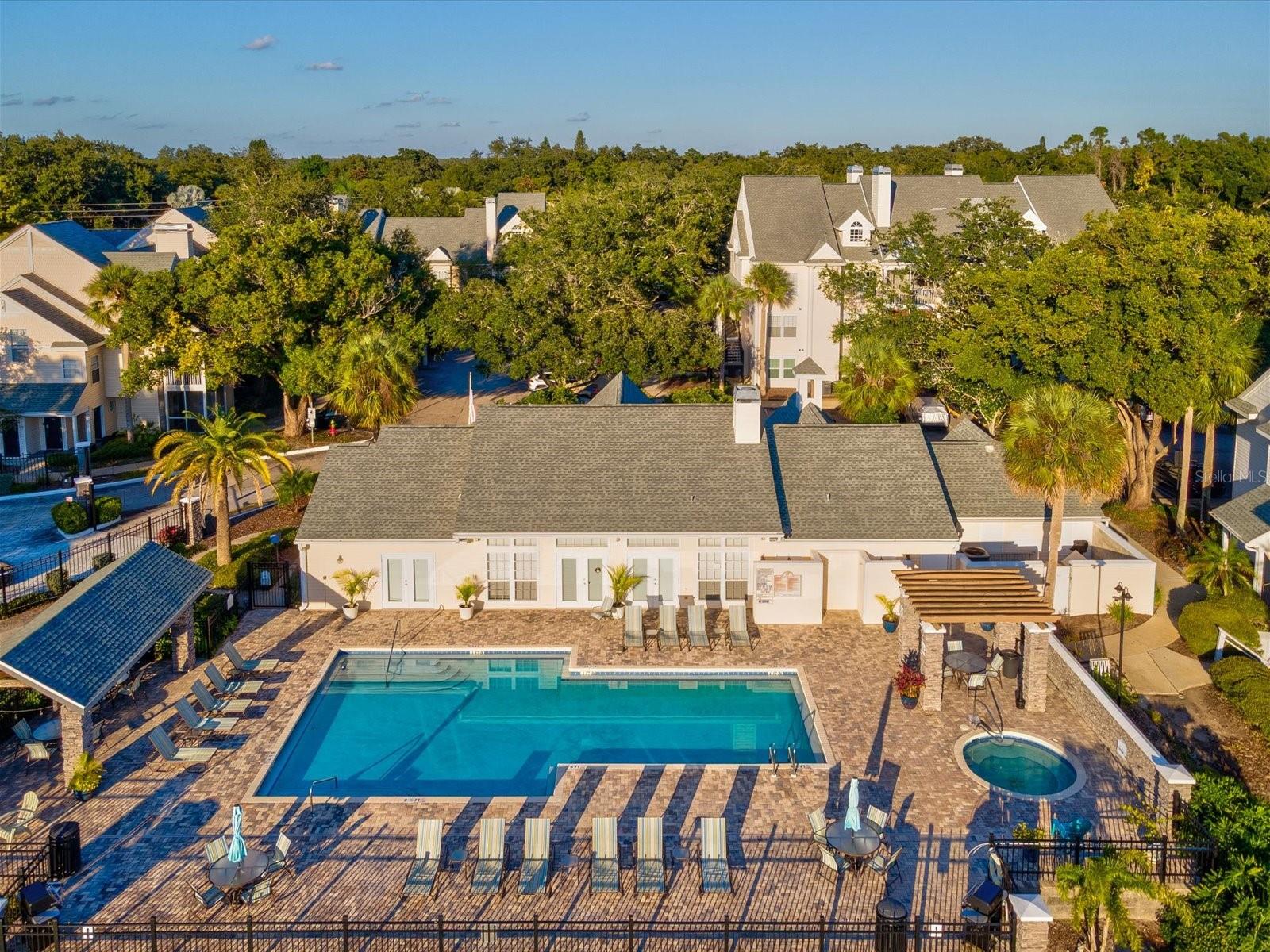 3321 HAVILAND CT #104, PALM HARBOR, FL, 34684