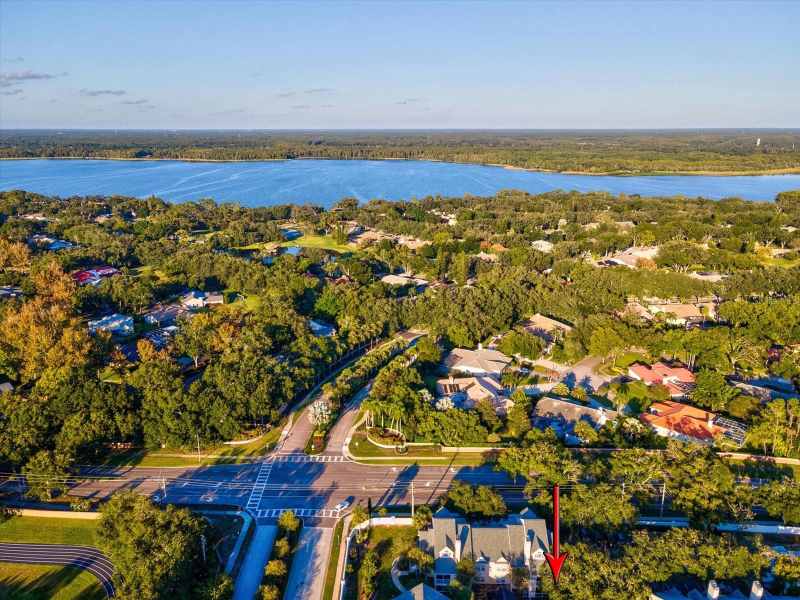 3321 HAVILAND CT #104, PALM HARBOR, FL, 34684