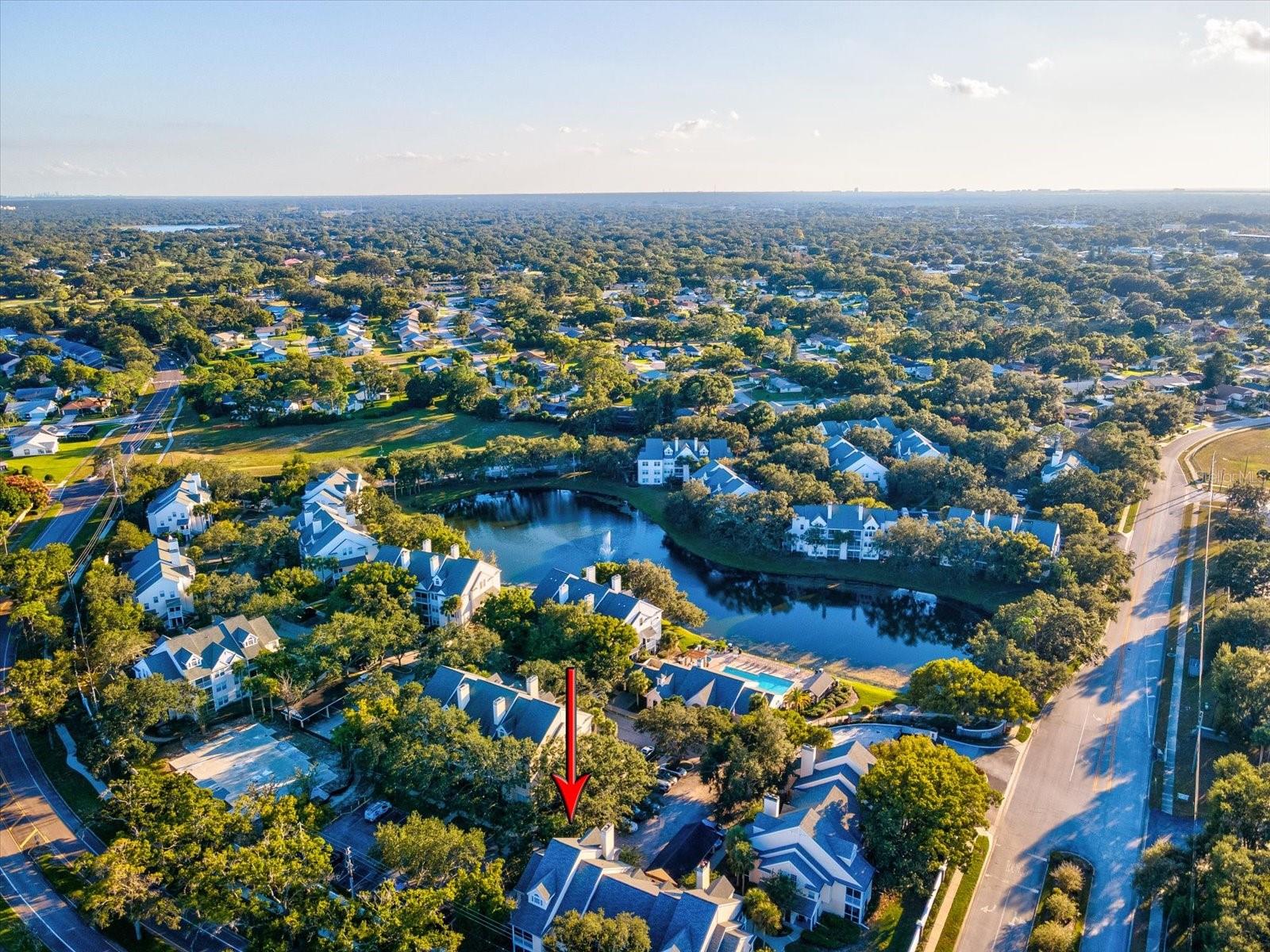 3321 HAVILAND CT #104, PALM HARBOR, FL, 34684