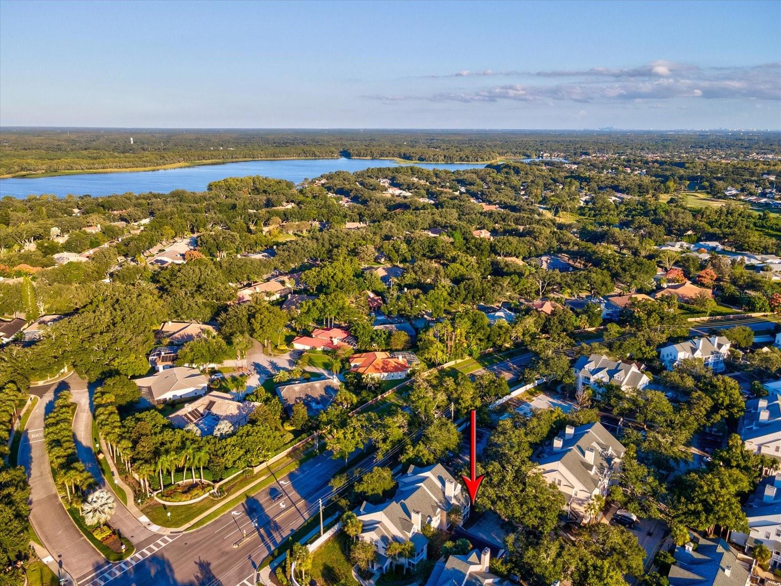 3321 HAVILAND CT #104, PALM HARBOR, FL, 34684