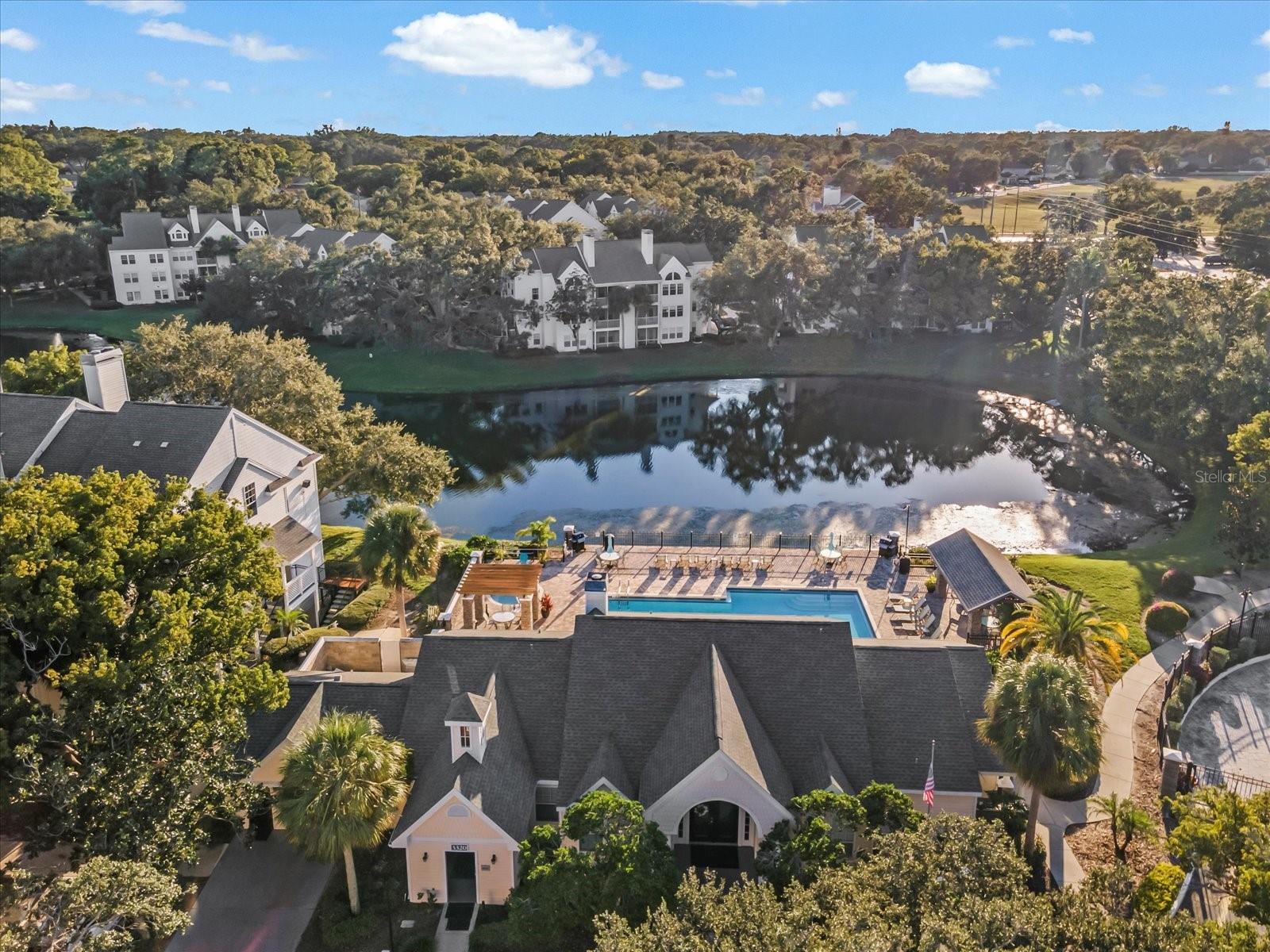 3321 HAVILAND CT #104, PALM HARBOR, FL, 34684