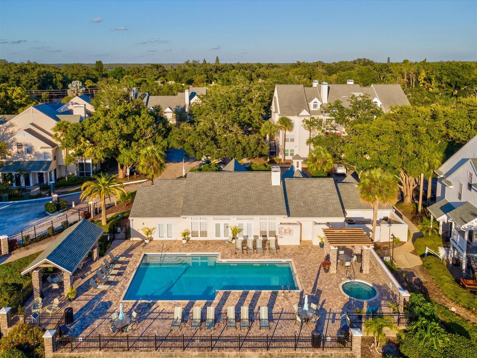 3321 HAVILAND CT #104, PALM HARBOR, FL, 34684