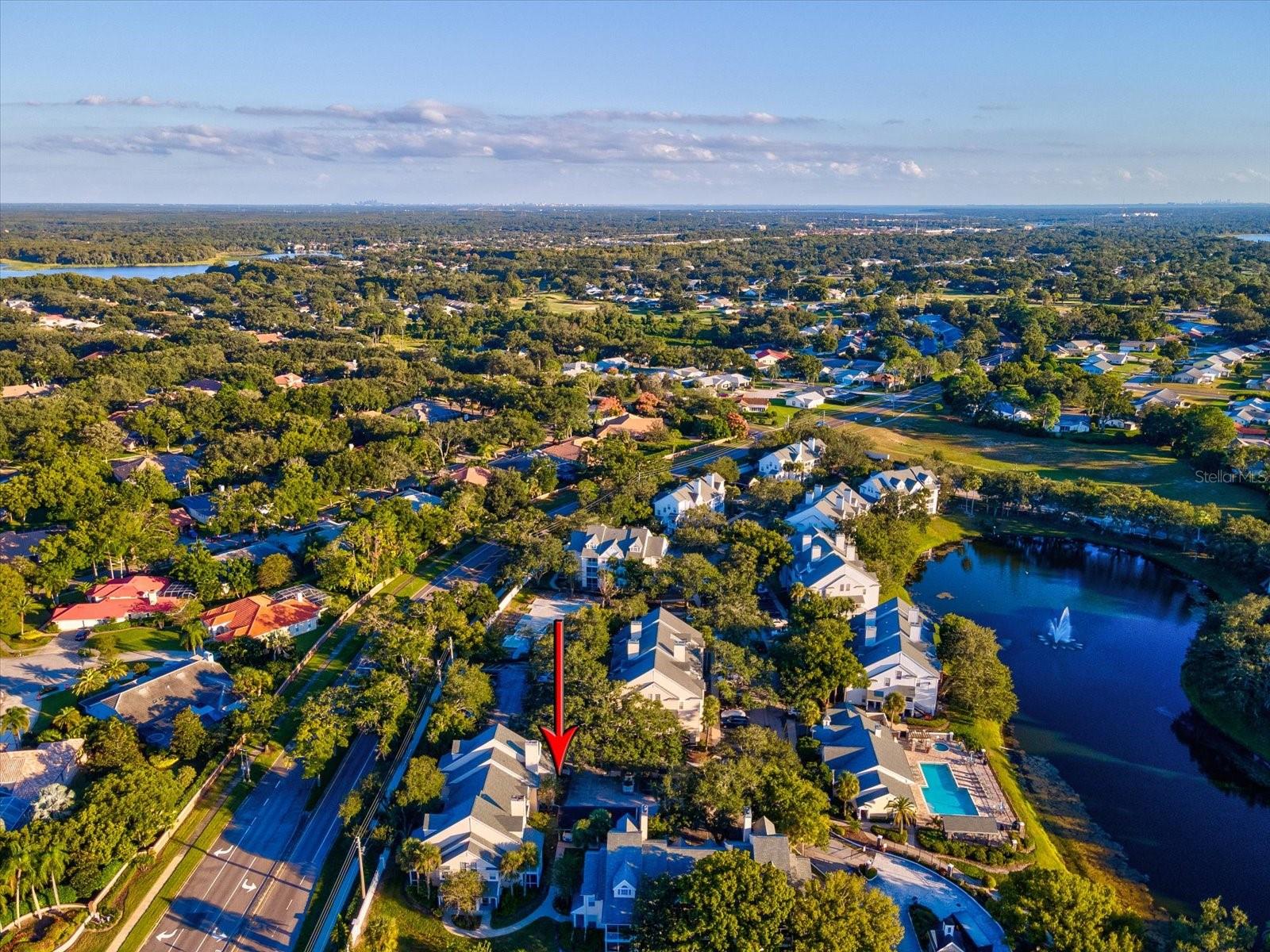 3321 HAVILAND CT #104, PALM HARBOR, FL, 34684