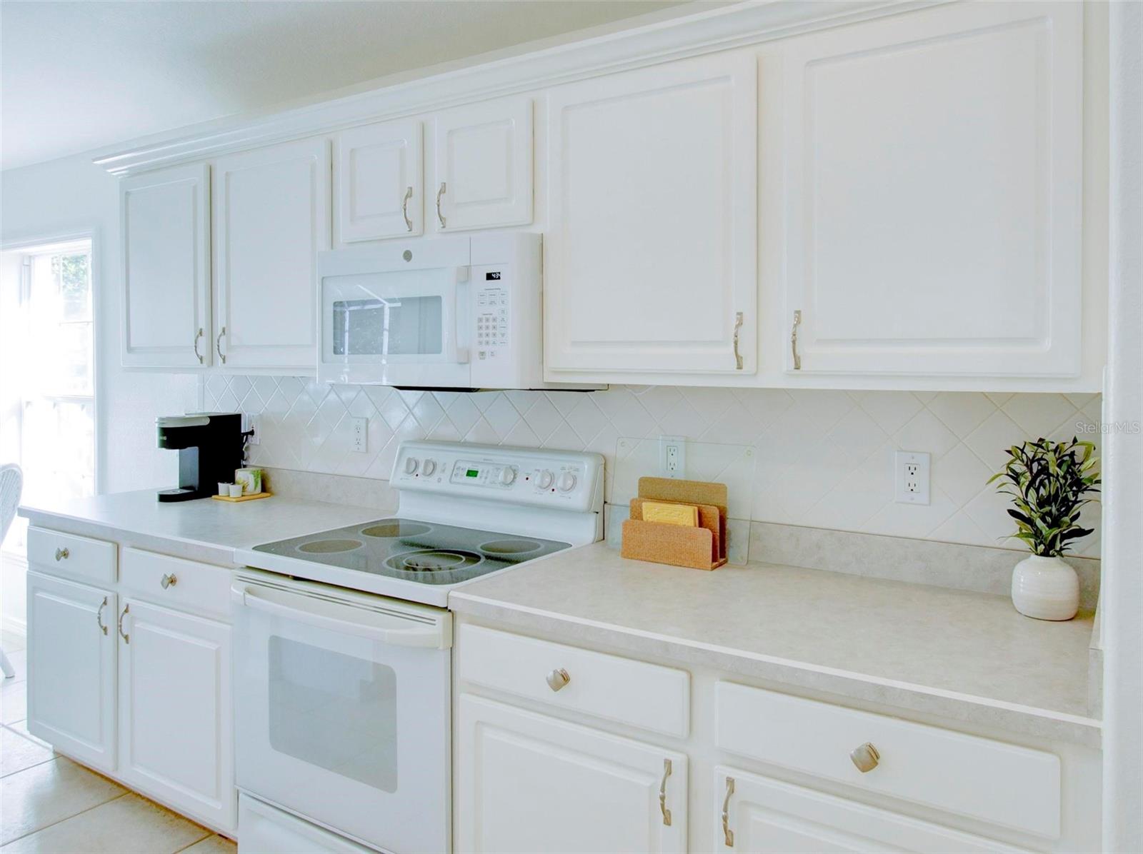 143 BRAEMAR AVE, VENICE, FL, 34293