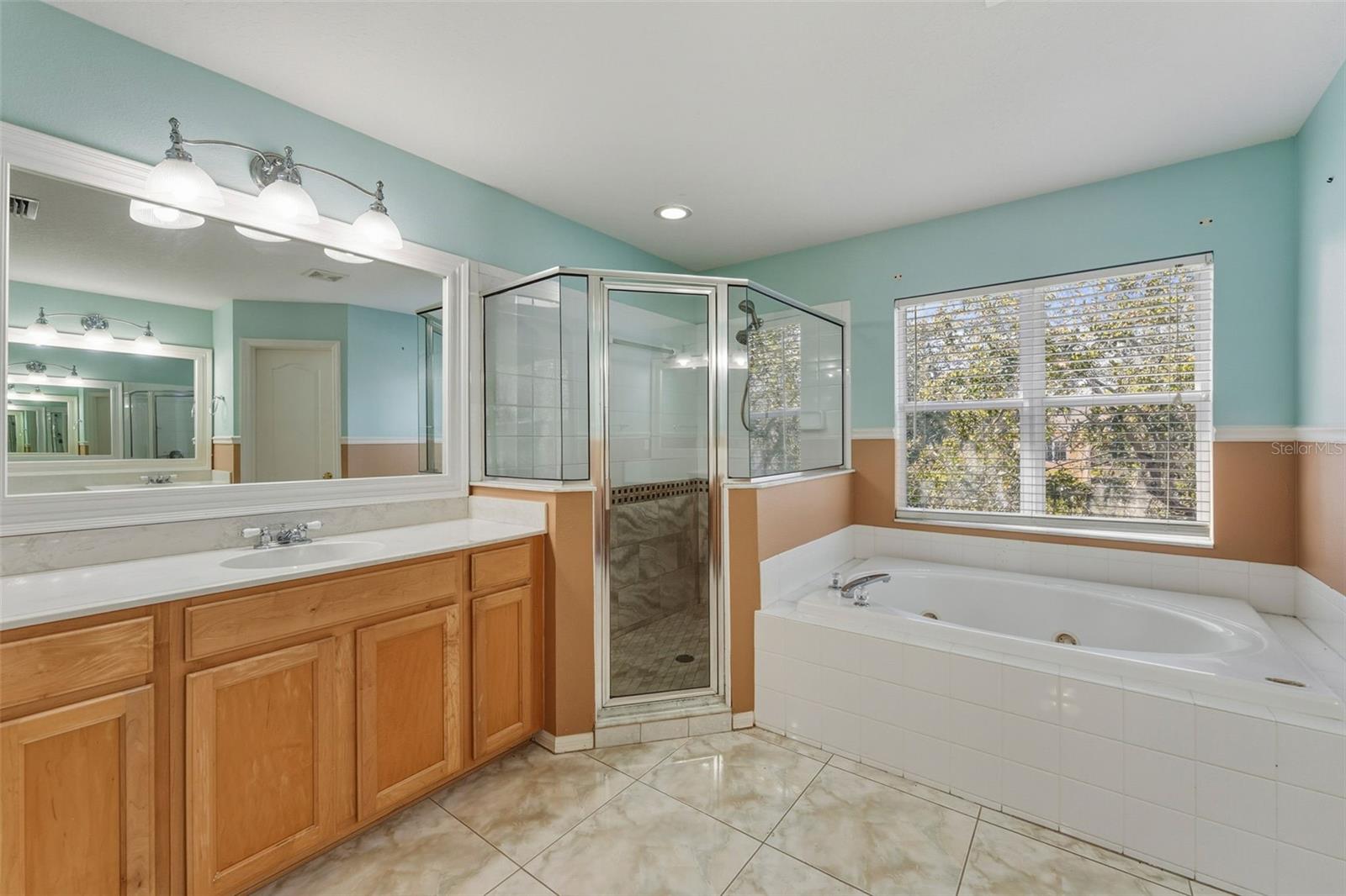 7310 BRIGHTWATER OAKS DR, TAMPA, FL, 33625