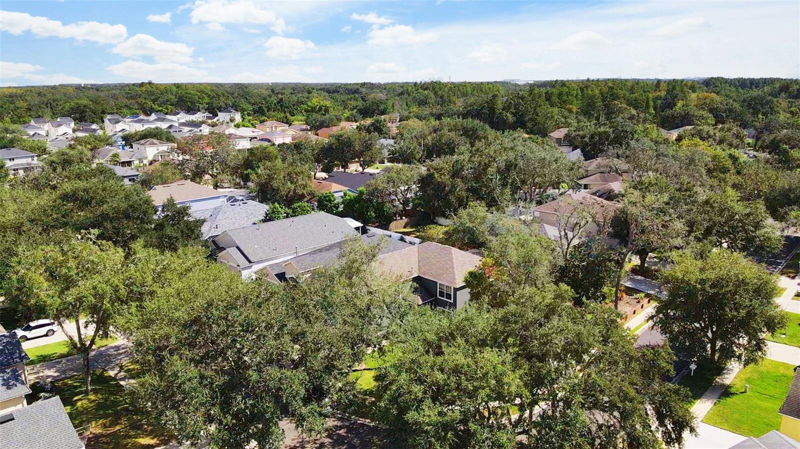 7310 BRIGHTWATER OAKS DR, TAMPA, FL, 33625