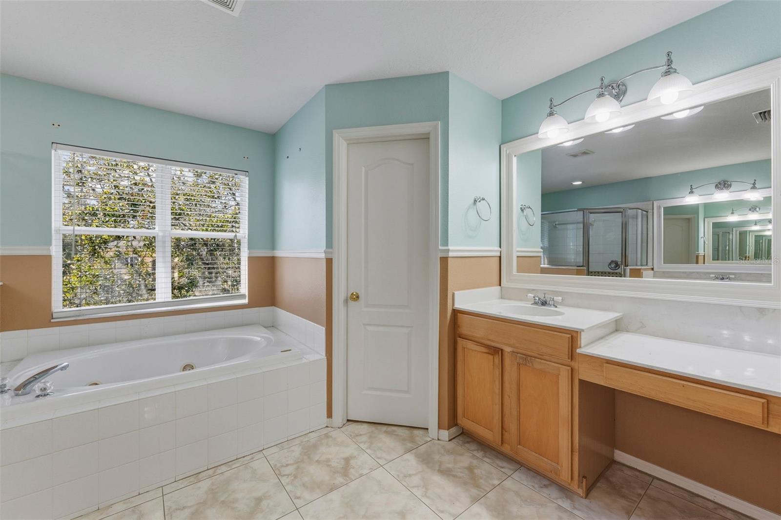 7310 BRIGHTWATER OAKS DR, TAMPA, FL, 33625