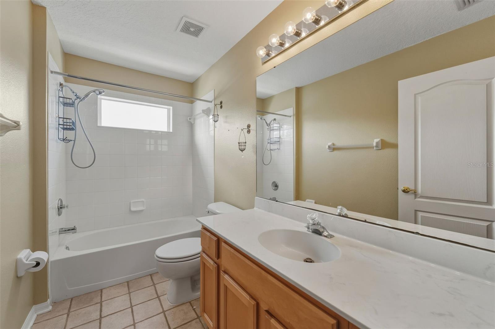 7310 BRIGHTWATER OAKS DR, TAMPA, FL, 33625