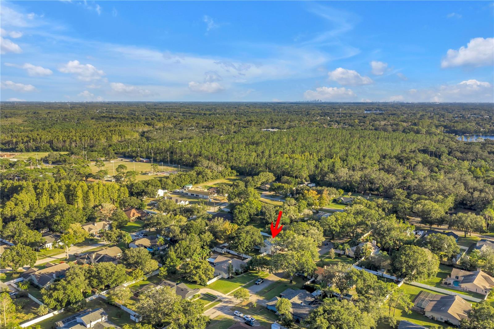 18009 LINDAWOODS ST, ODESSA, FL, 33556