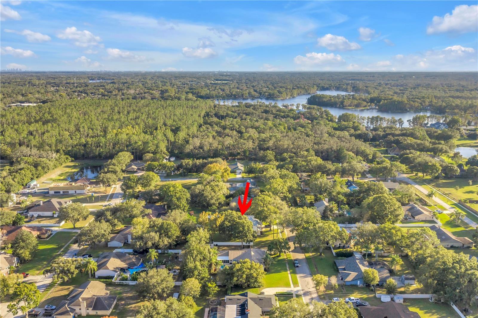 18009 LINDAWOODS ST, ODESSA, FL, 33556