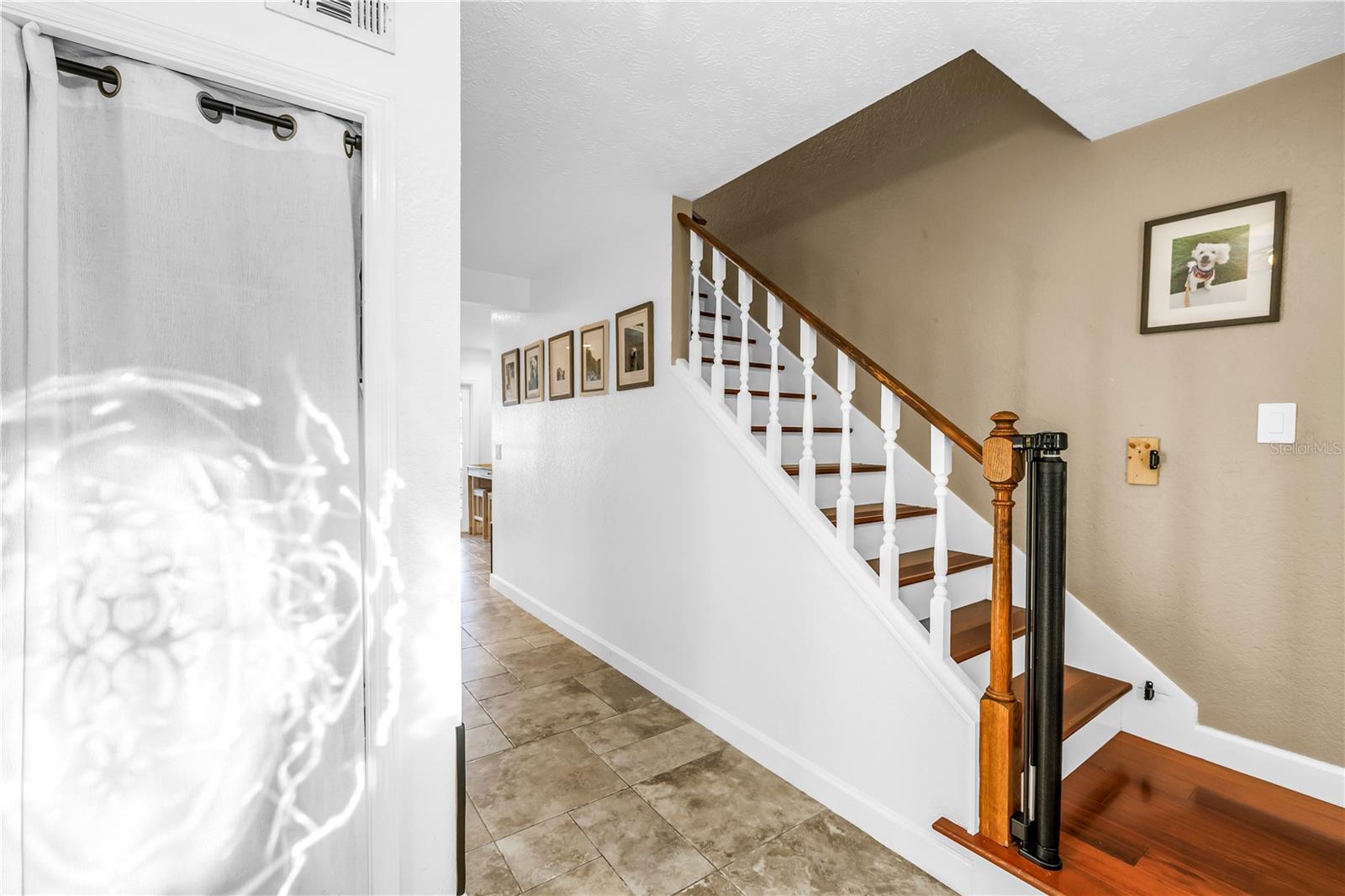 18009 LINDAWOODS ST, ODESSA, FL, 33556