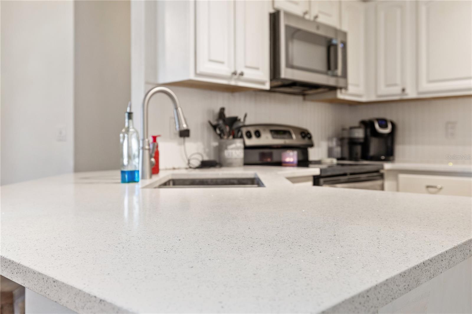 4704 CANTERBURY DR, LAND O LAKES, FL, 34639