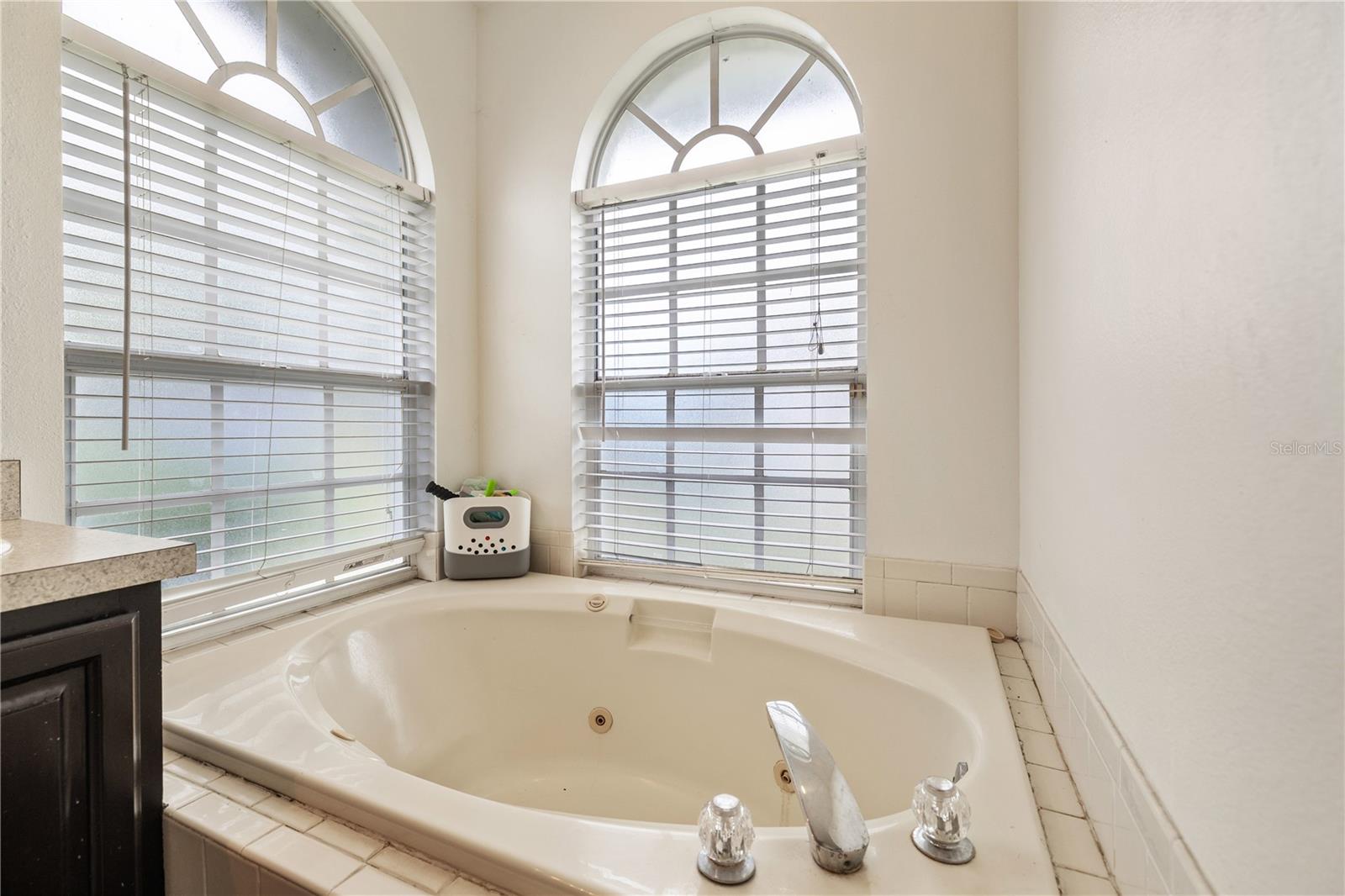 4704 CANTERBURY DR, LAND O LAKES, FL, 34639