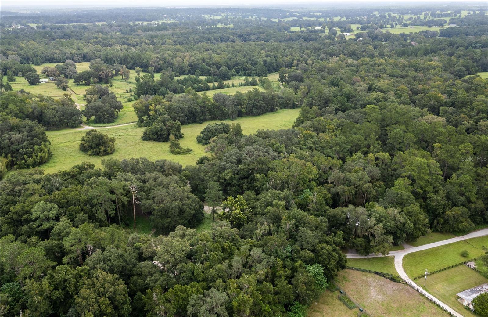 7901 NW 125TH ST, REDDICK, FL, 32686