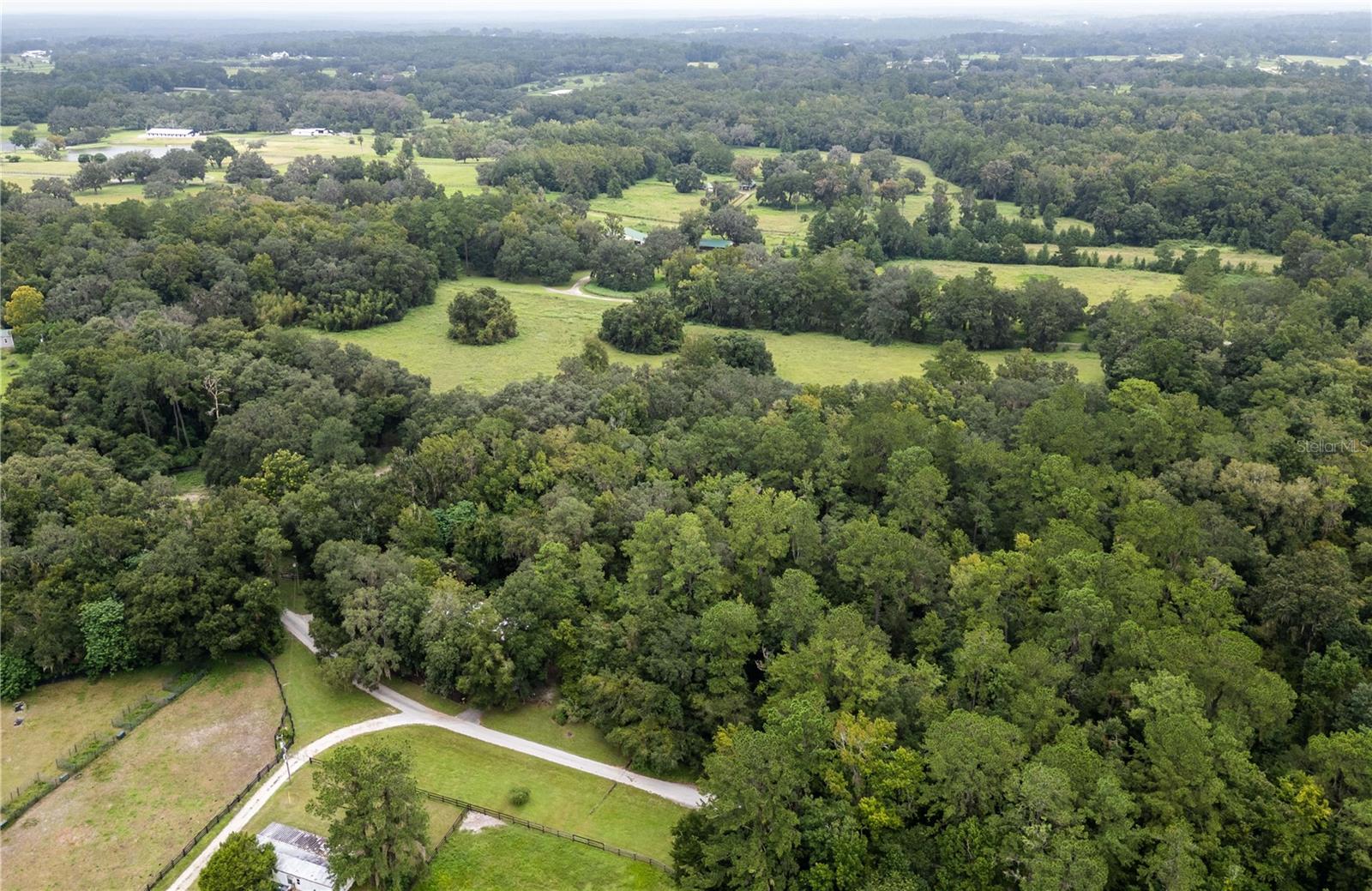 7901 NW 125TH ST, REDDICK, FL, 32686