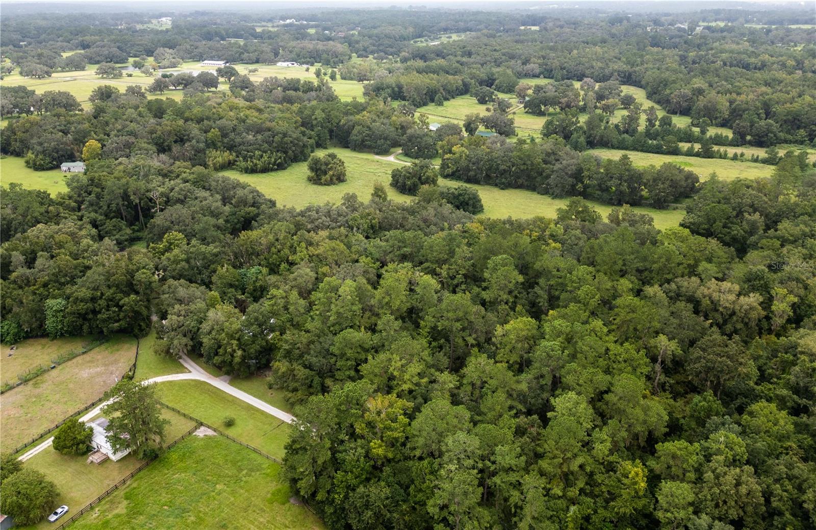 7901 NW 125TH ST, REDDICK, FL, 32686