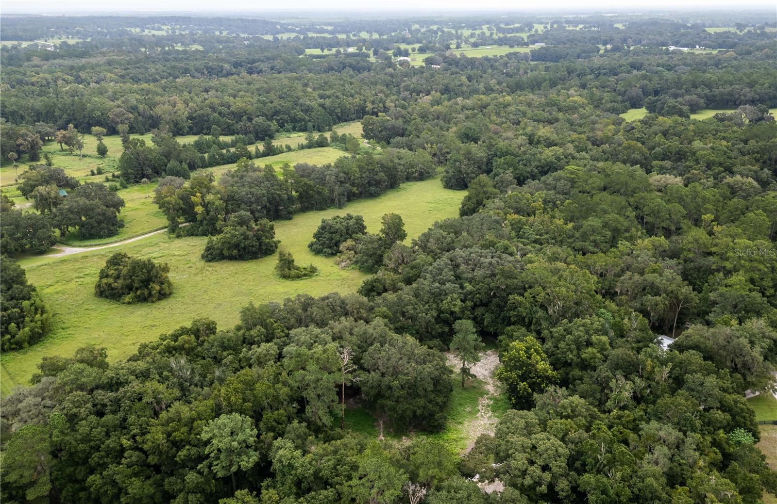 7901 NW 125TH ST, REDDICK, FL, 32686