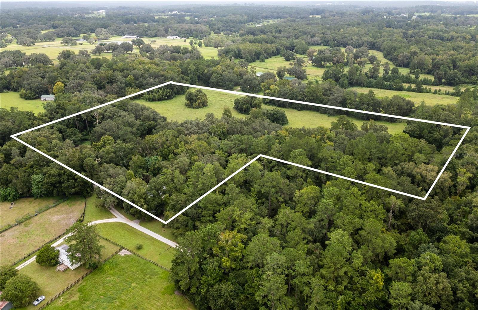 7901 NW 125TH ST, REDDICK, FL, 32686