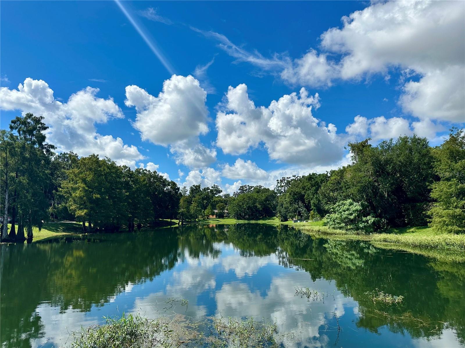 1304 E GORE ST, ORLANDO, FL, 32806