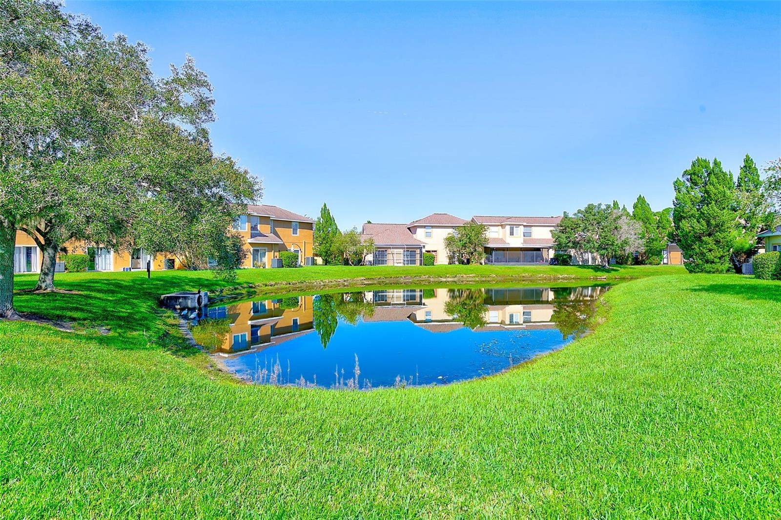 20306 OAK KEY CT, TAMPA, FL, 33647