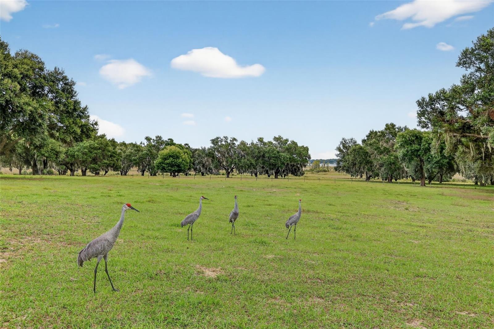 8810 COUNTY ROAD 561, CLERMONT, FL, 34711