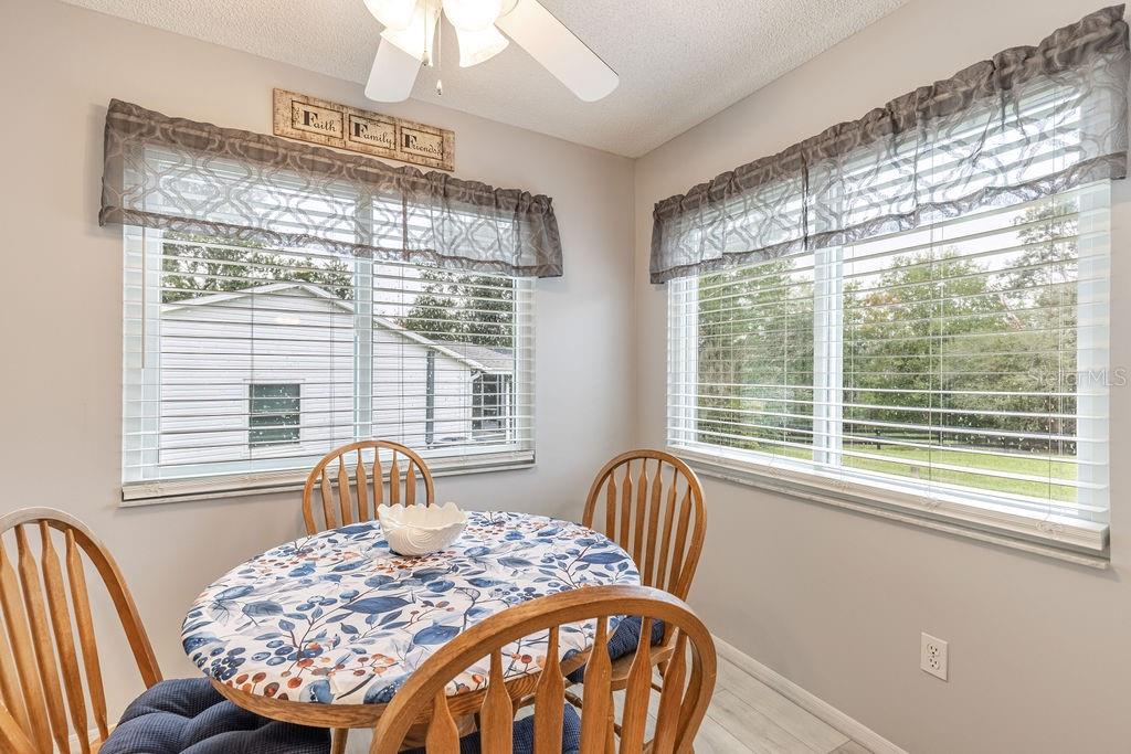 1501 ALFONSO LN, THE VILLAGES, FL, 32159