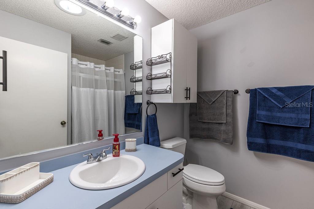 1501 ALFONSO LN, THE VILLAGES, FL, 32159