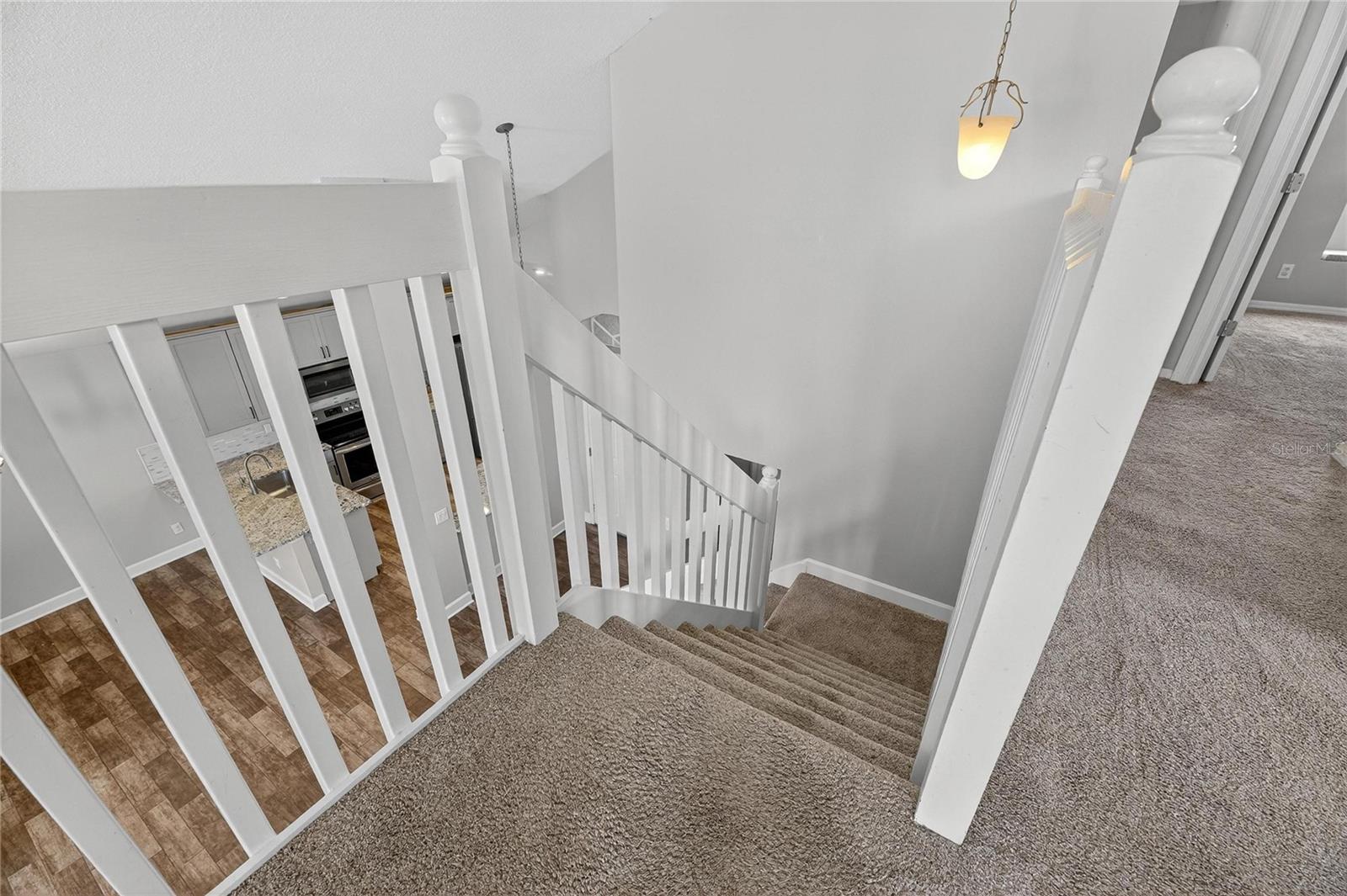 4102 MEDBURY DR, WESLEY CHAPEL, FL, 33543