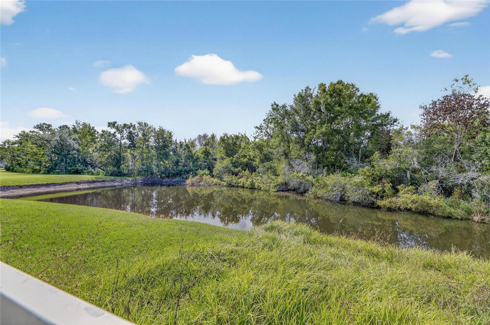 4102 MEDBURY DR, WESLEY CHAPEL, FL, 33543