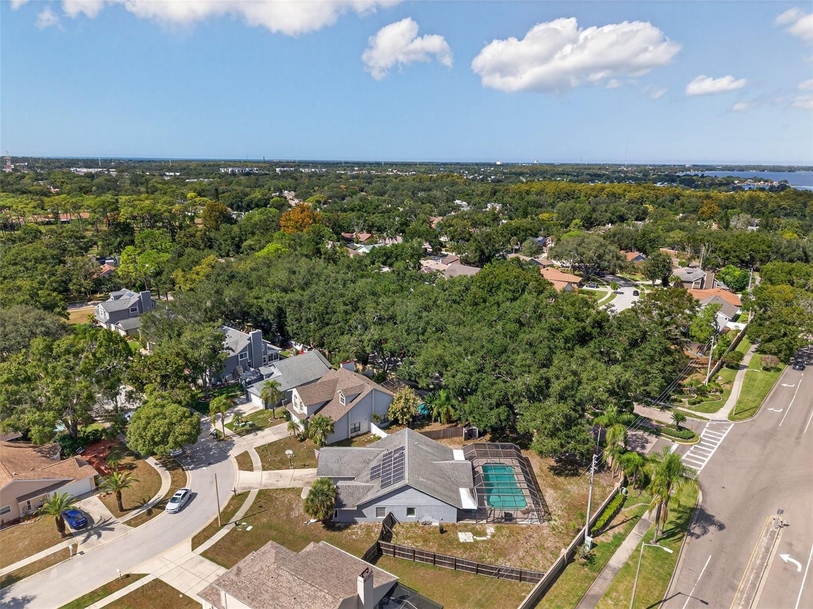 3253 MONTROSE CIR, PALM HARBOR, FL, 34684