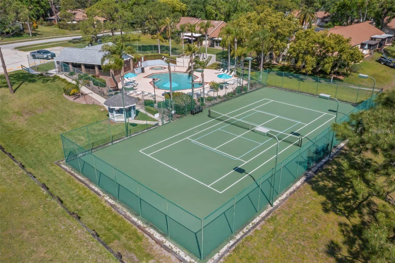 3253 MONTROSE CIR, PALM HARBOR, FL, 34684