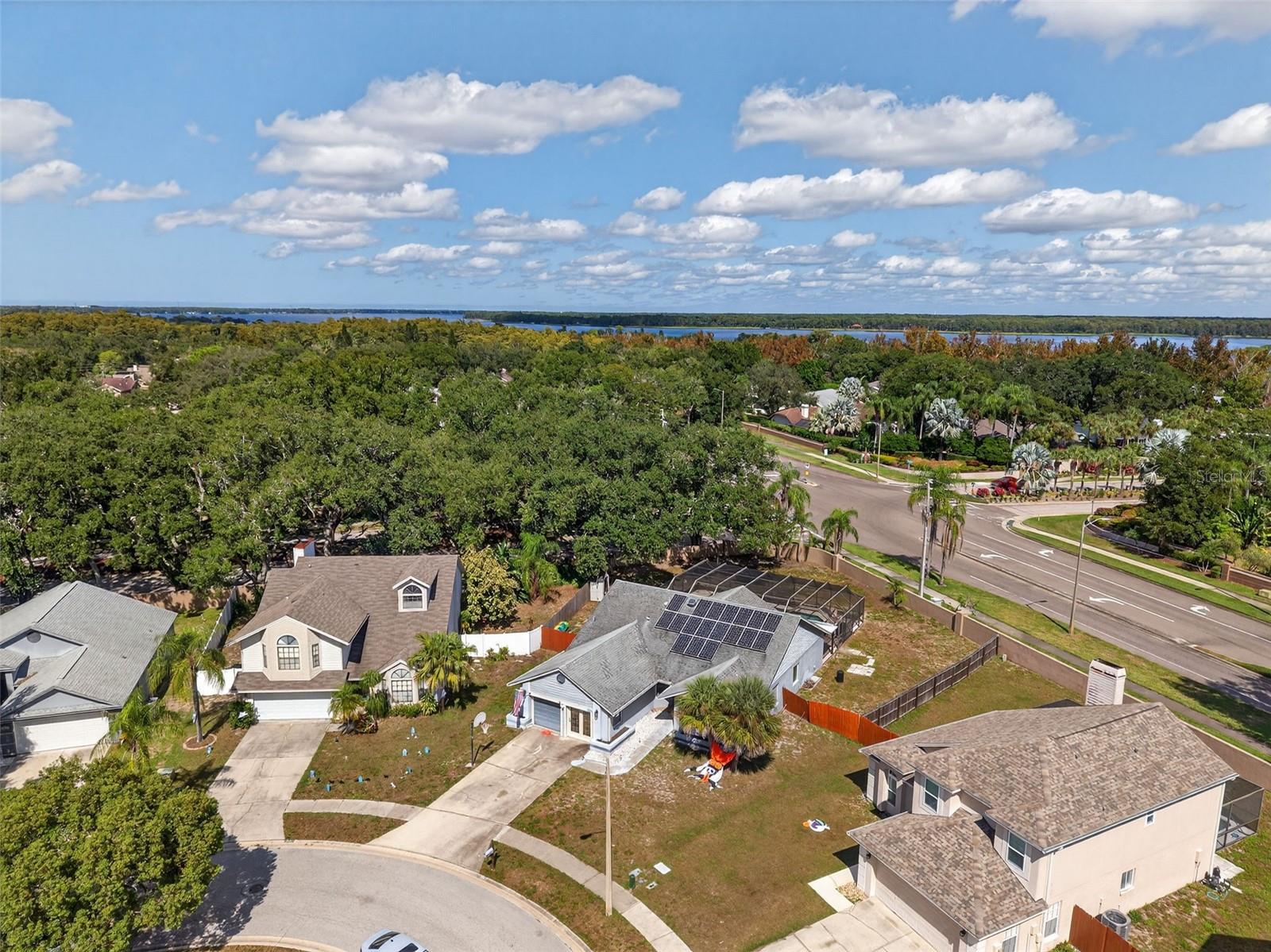 3253 MONTROSE CIR, PALM HARBOR, FL, 34684