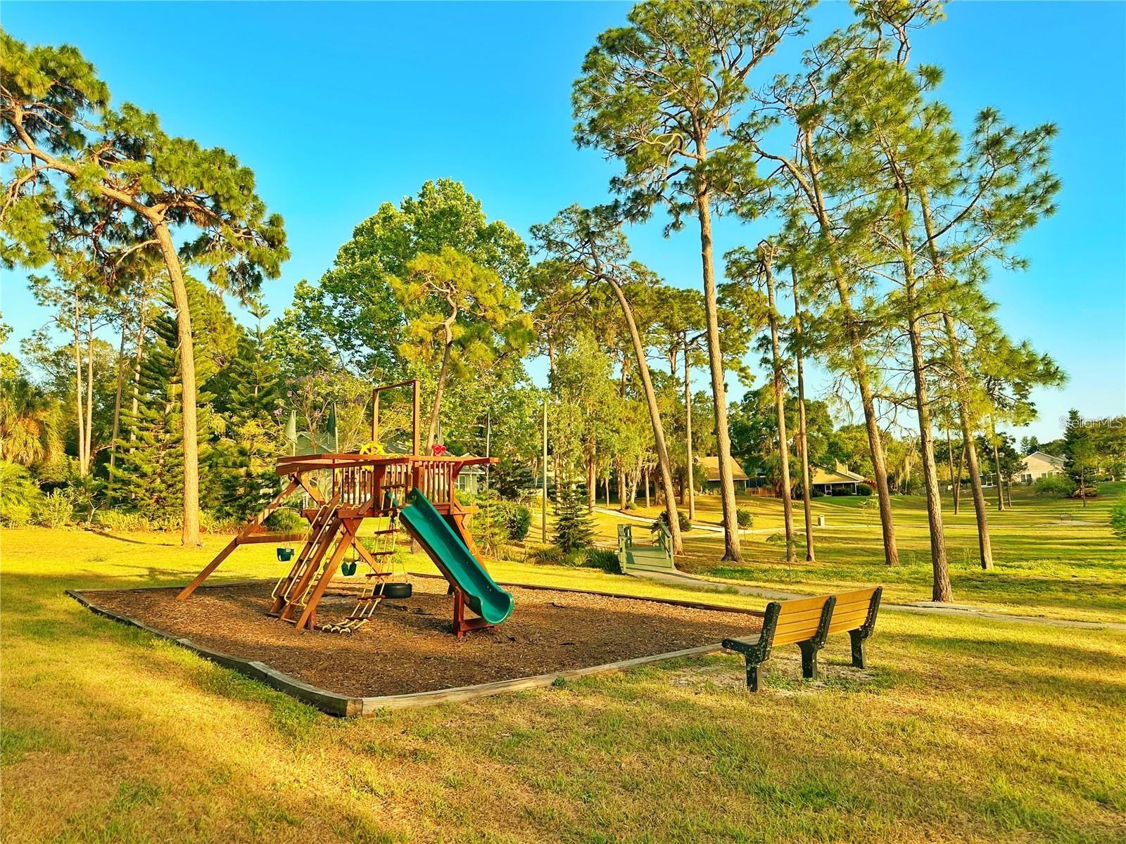 3253 MONTROSE CIR, PALM HARBOR, FL, 34684