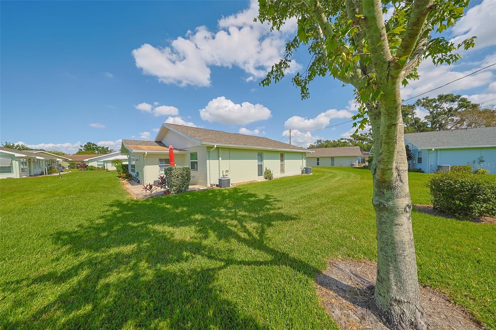 Nice sized back yard