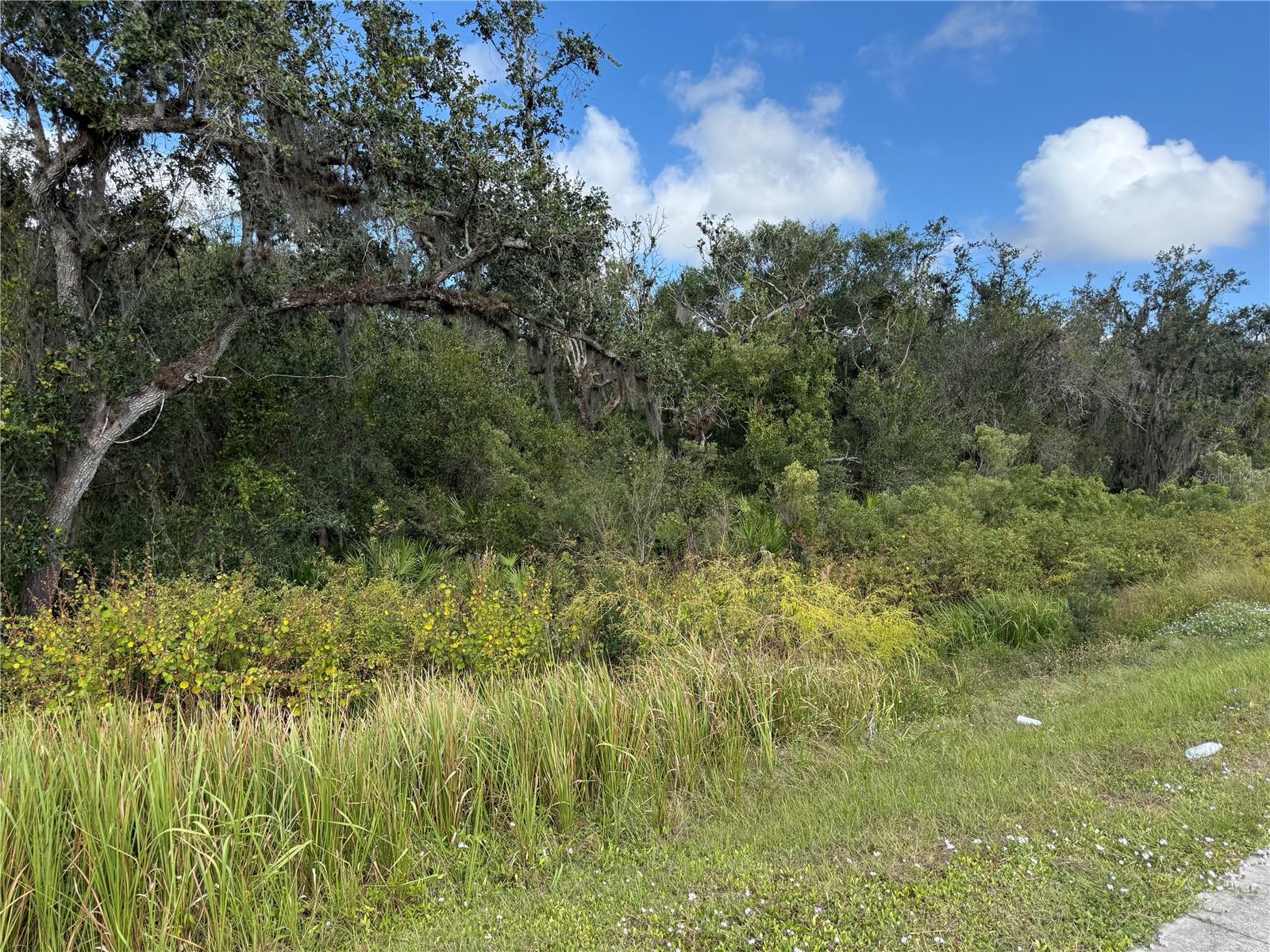 SW HWY 17, ARCADIA, FL, 34266