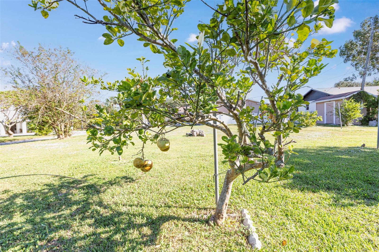 1618 POCATELLO ST, SARASOTA, FL, 34231