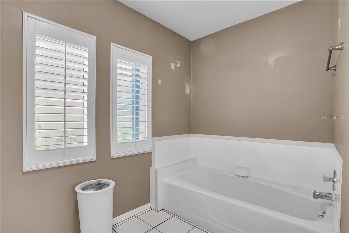 Tub shower in master bathroom